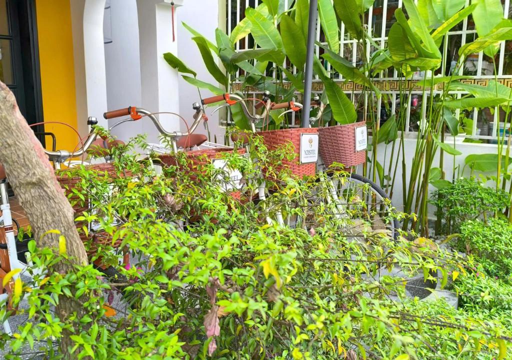 Sports and activities