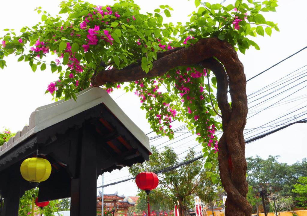 Surrounding environment