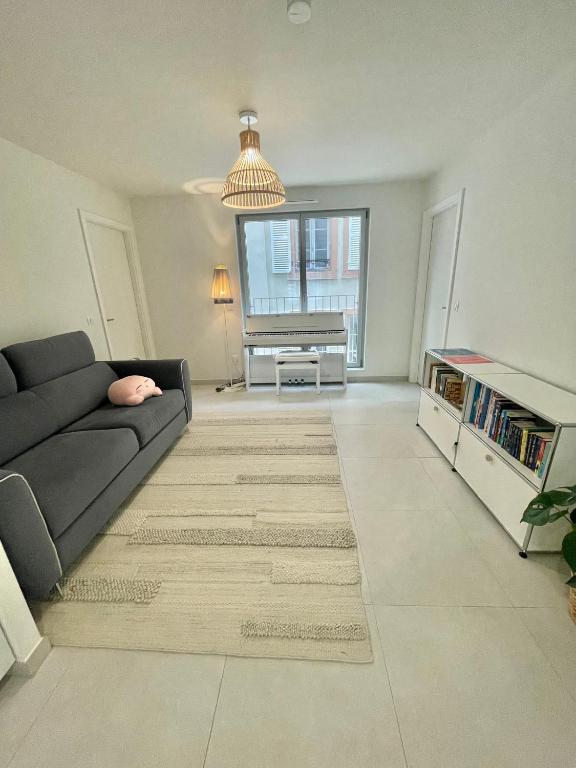 Logement neuf entier Petite France - 2