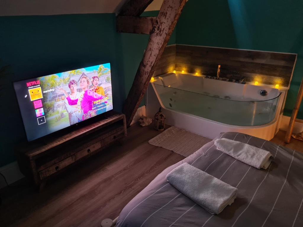 Jacuzzi Privé - L'Île Turquoise - Hypercentre - 3