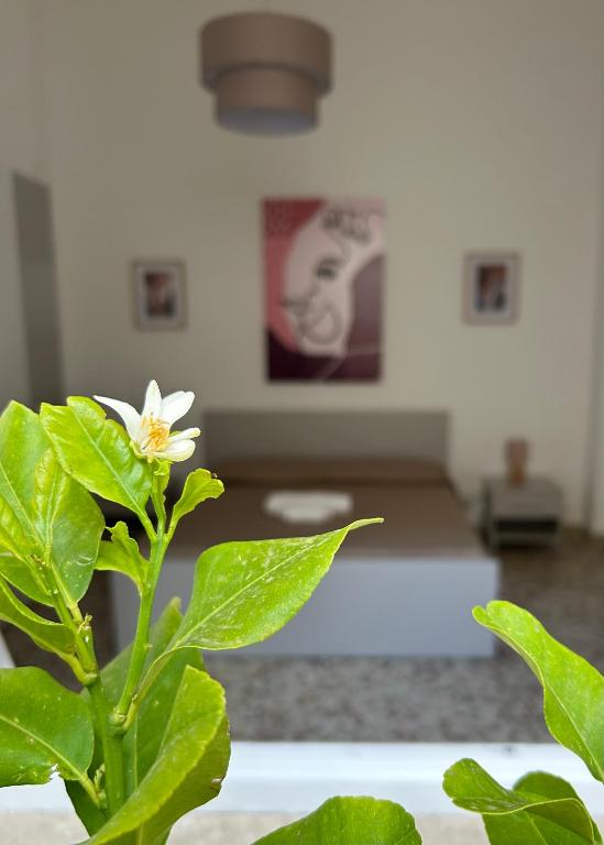Josky Apartment, Trapani