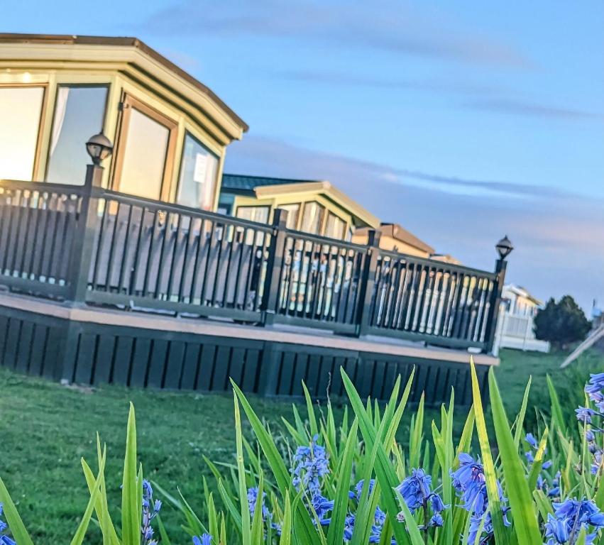 Peacehaven, Ynyslas, Borth, Borth