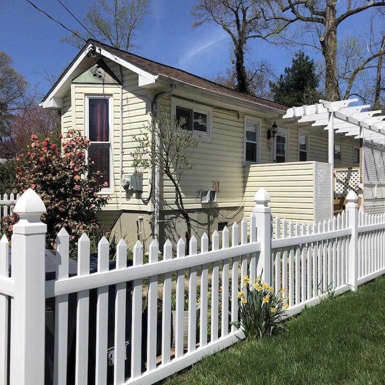 Bee by the Bay, North Beach