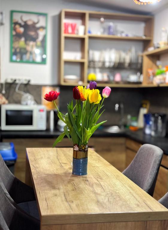 Mouse House, Kišiněv