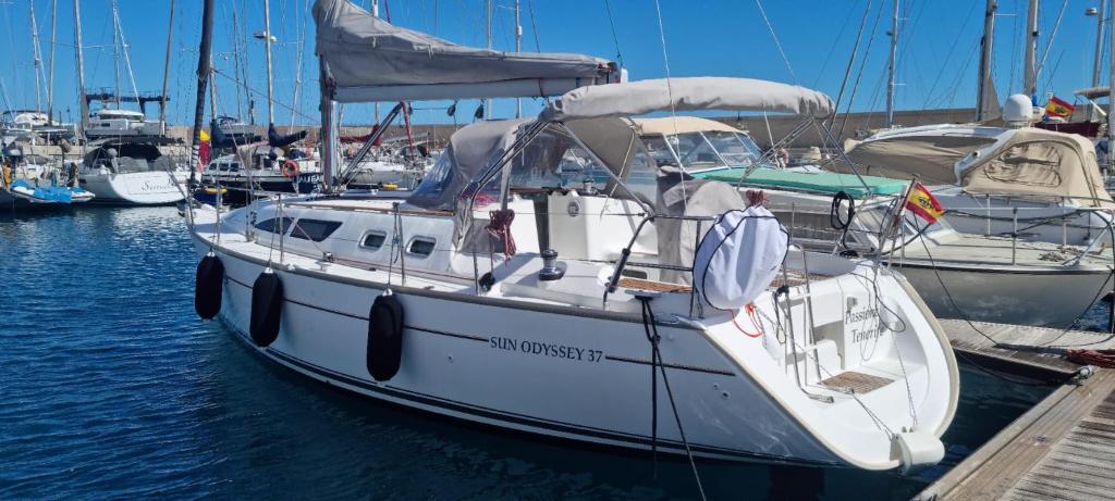 Velero Passionetenerife - 1
