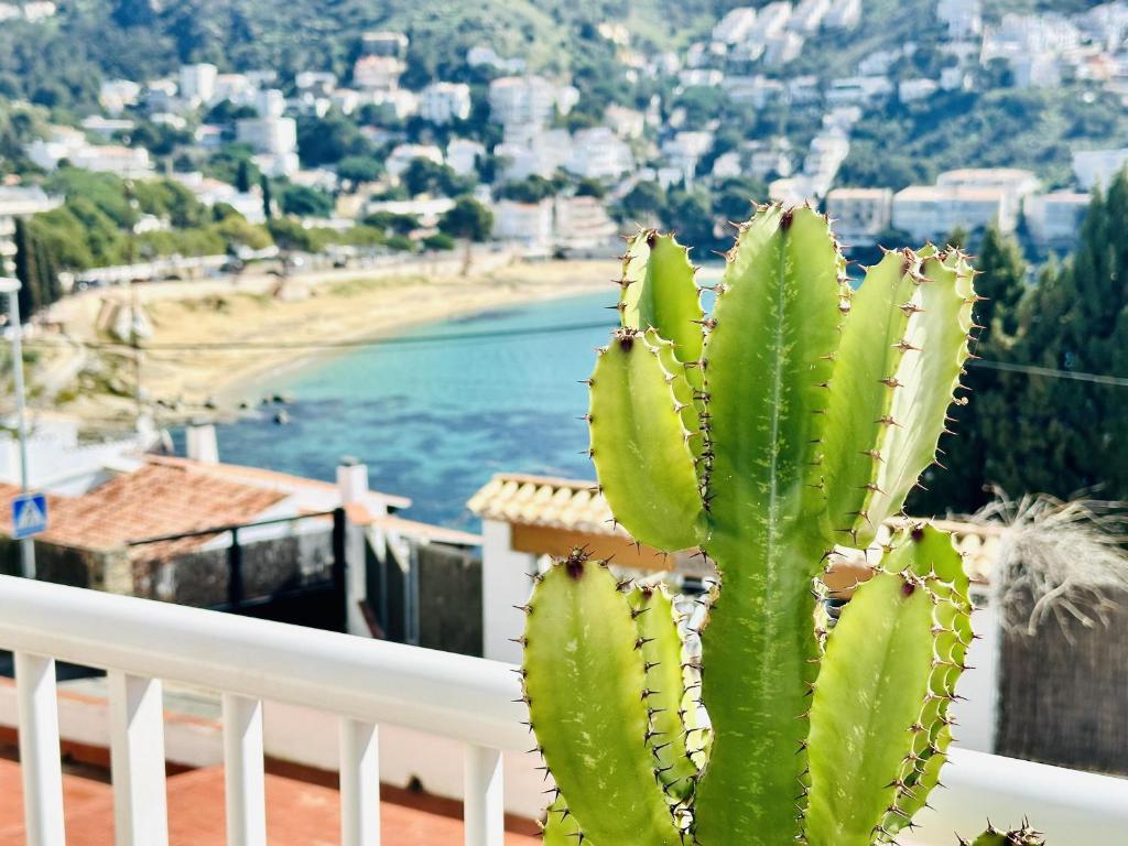 EL SOL. Tu hogar junto al mar – Apartamento cómodo para 6 personas en Roses - ES-258-36 - 2
