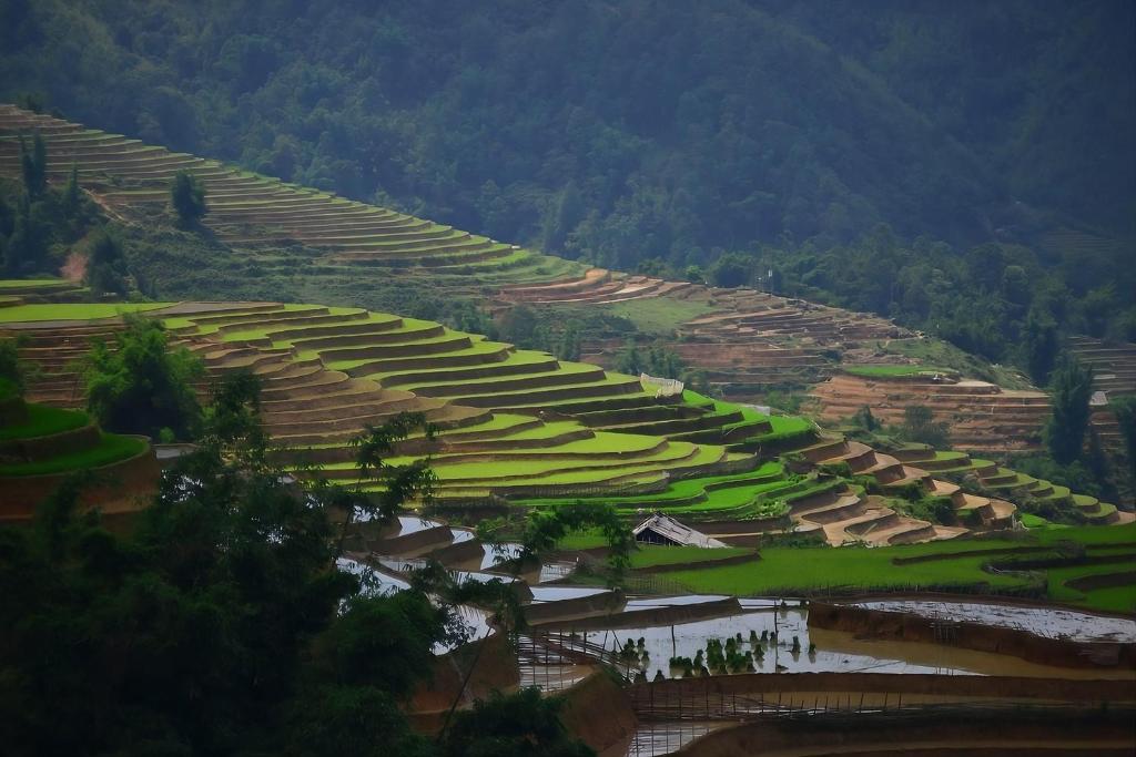 Sapa Mountain Resort