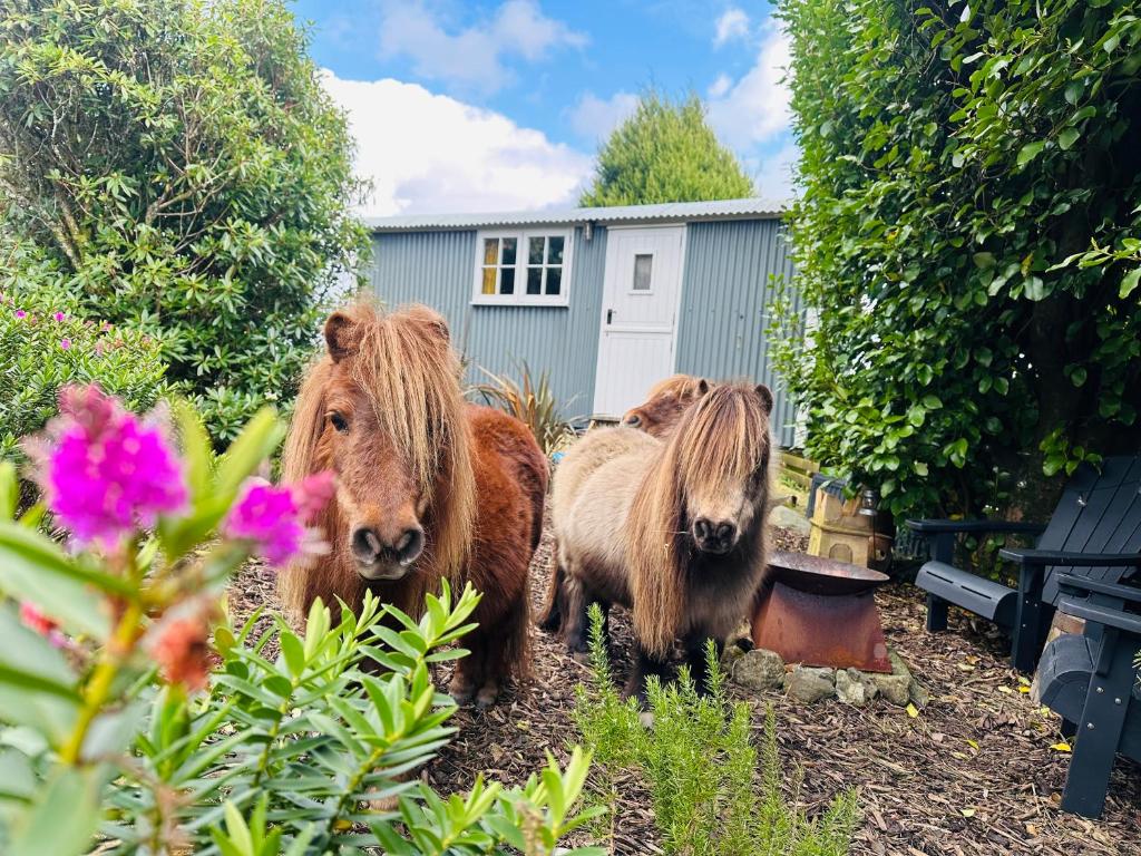 Miners Hut, St Austell