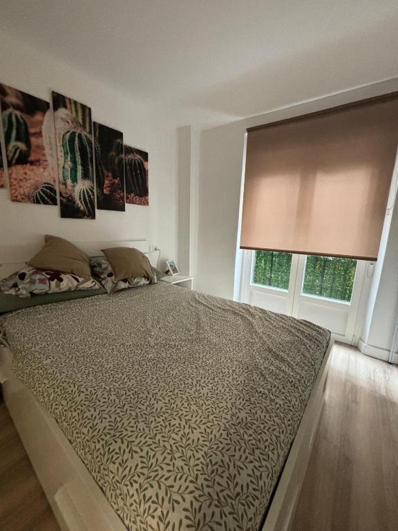 Pamplona Home - 1