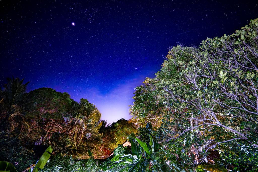 Surrounding environment