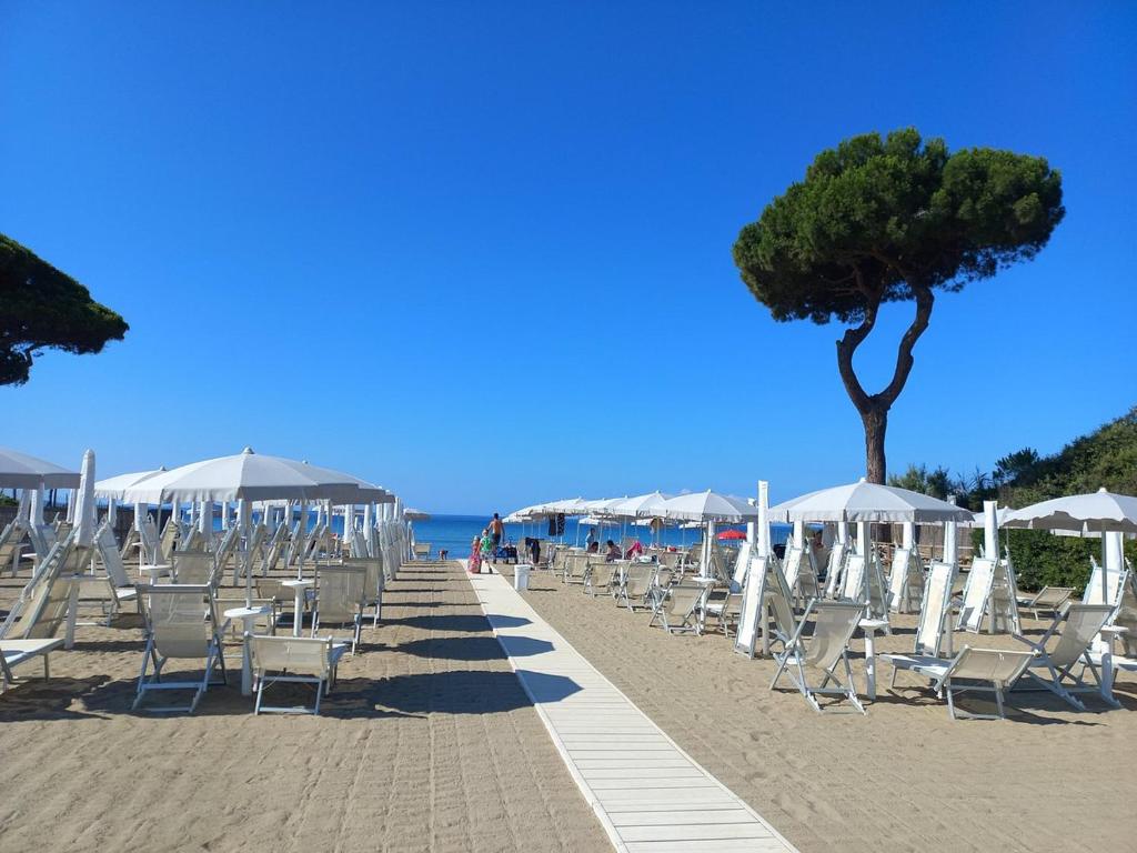 Villaggio Il Girasole - 2