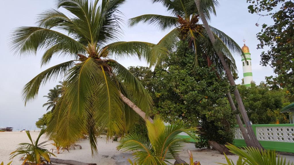 Surrounding environment