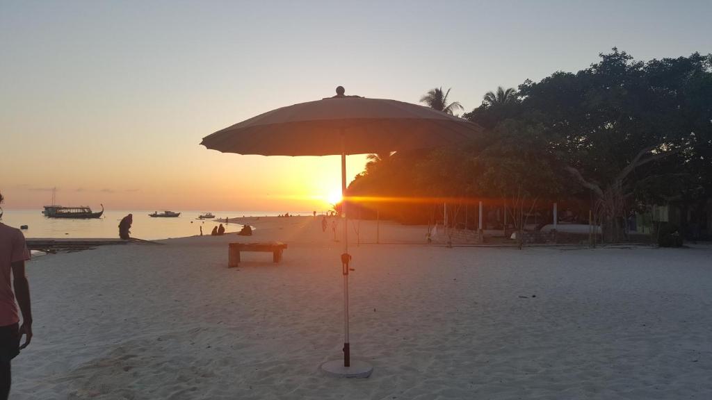 Surrounding environment