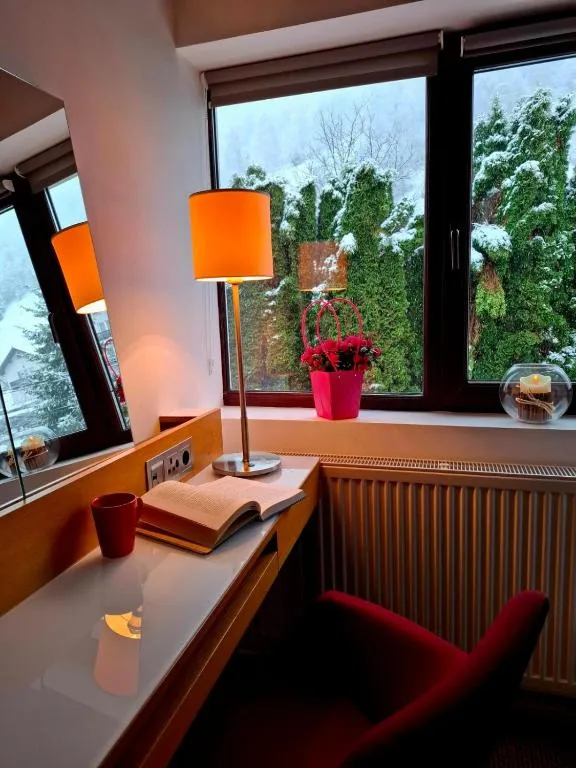 The Black Cat, hotel in Bran