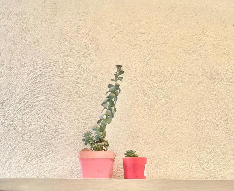 Apartaestudio Acogedor Medellín - 3