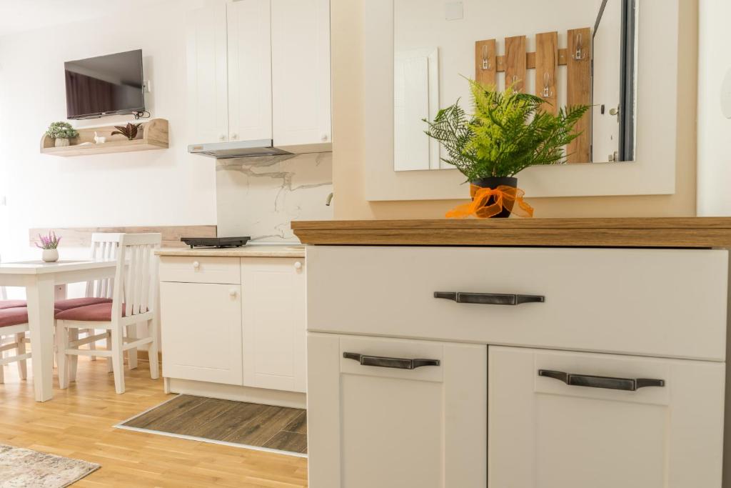 Lucky Lux 1 i 2 Vrnjačka Banja - 5