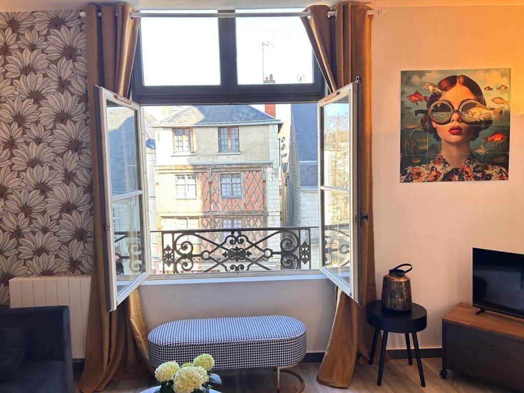 Le Cinq, Appartement de charme Place Saint Pierre Saumur, Saumur