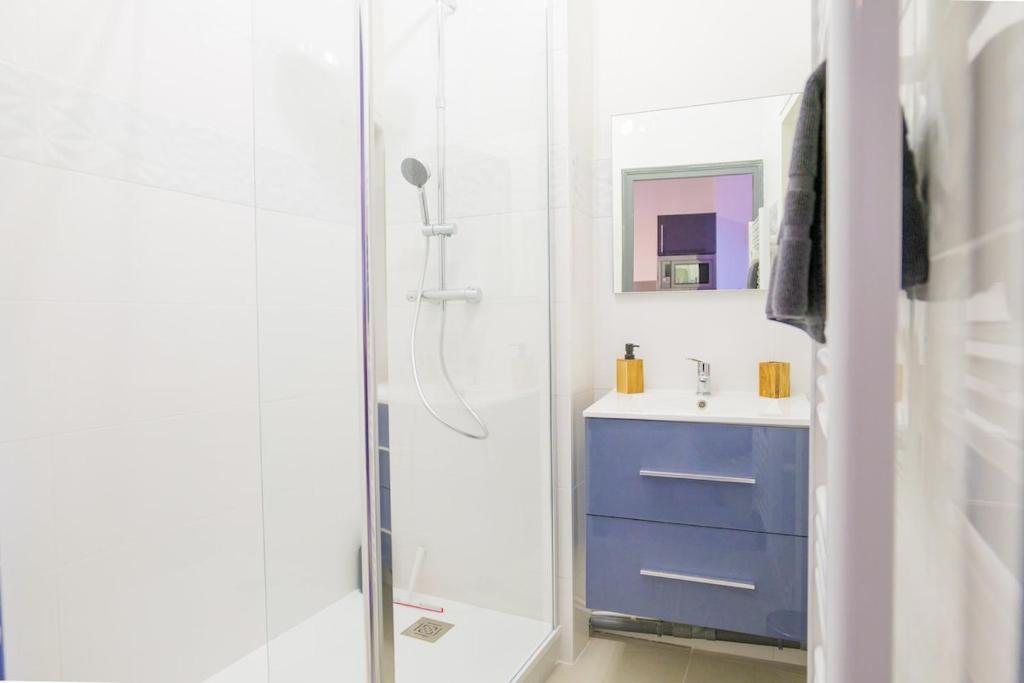Le Cinq, Appartement de charme Place Saint Pierre Saumur - 4