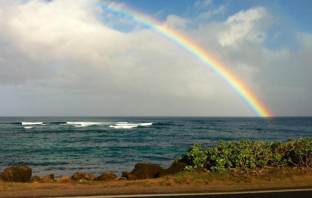 Kalani Hawaii Private Lodging photo