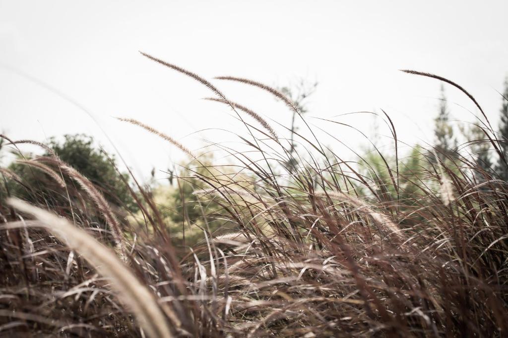 Surrounding environment