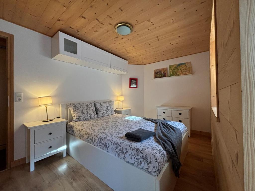 2-bedroom chalet in Bas Thex, Portes du Soleil - 4