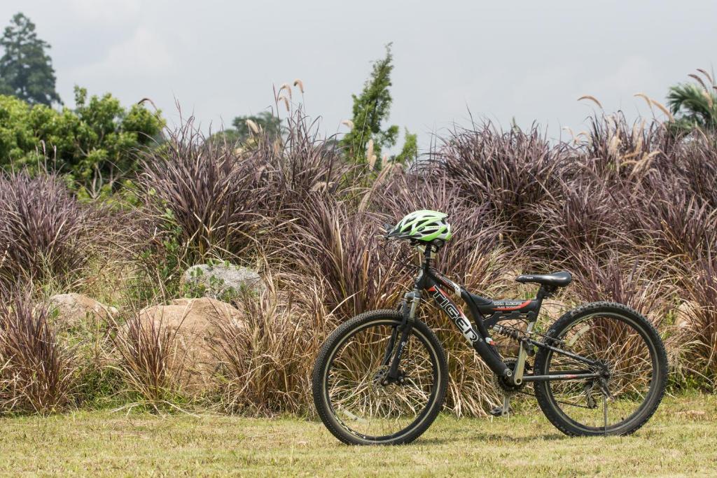 Sports and activities