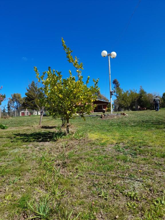 Cabaña Paralelo 1 - 5