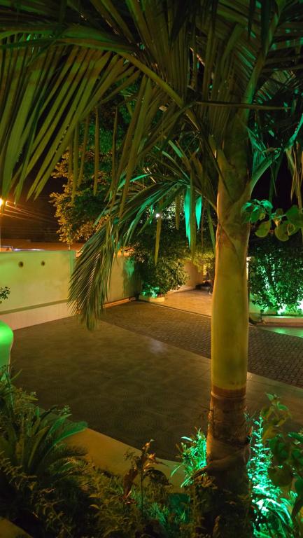 El Jardín Secreto - 2