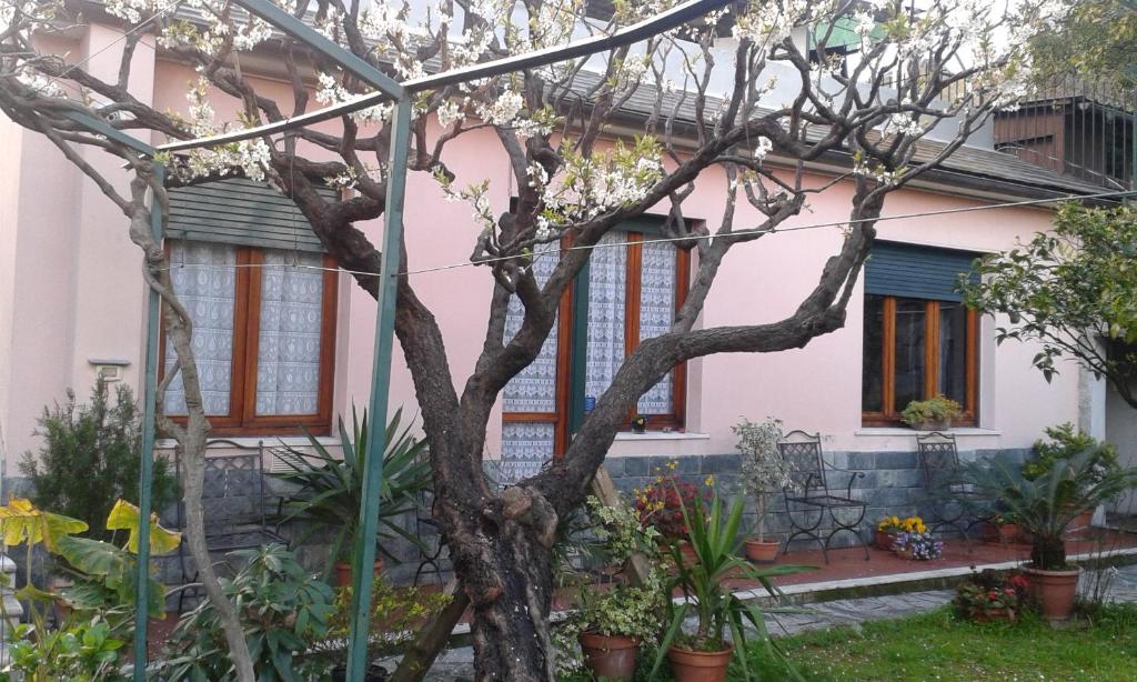 Casa Tra Il Verde E Il Blu - 5