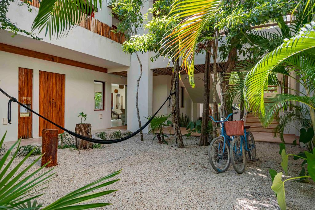 Niik Tulum - 5