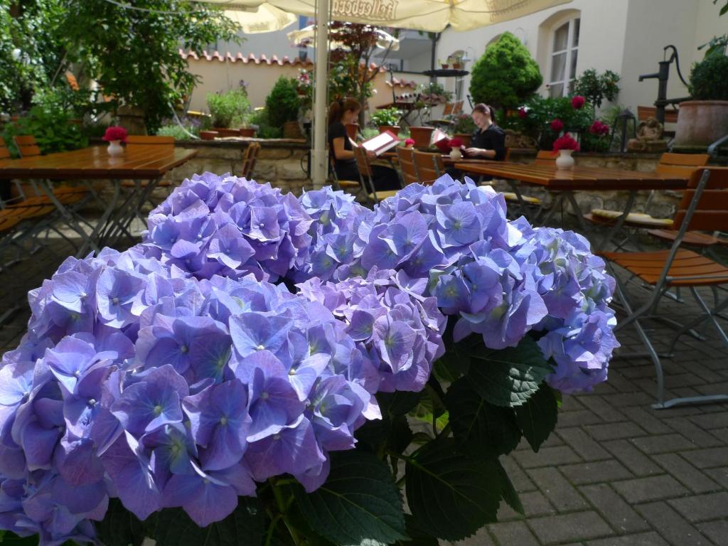 Hotel-Restaurant Roter Ochsen photo