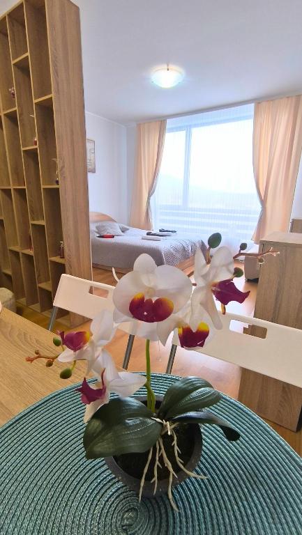 Aspen Golf Resort C207, free SPA, Razlog