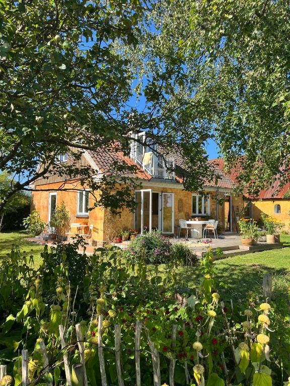 Oasis Of Calm On Møn's Blooming Fields, Askeby