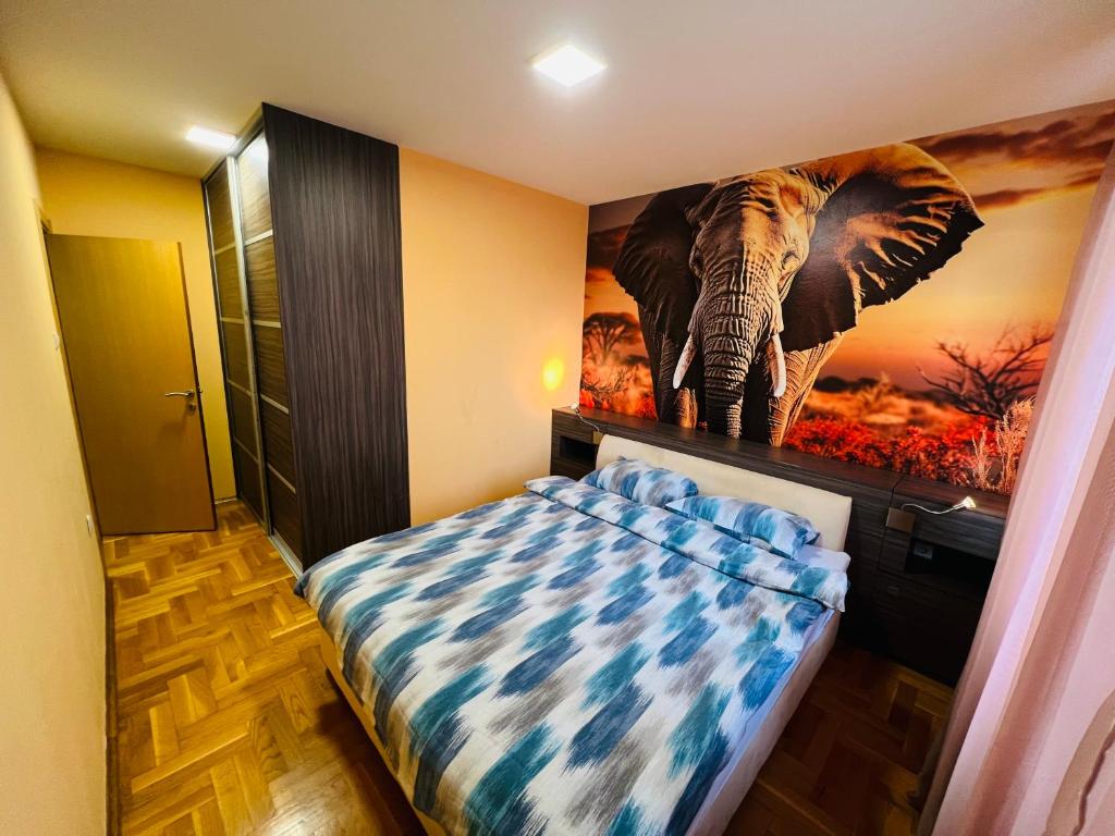 Apartman Tara 11 - 4