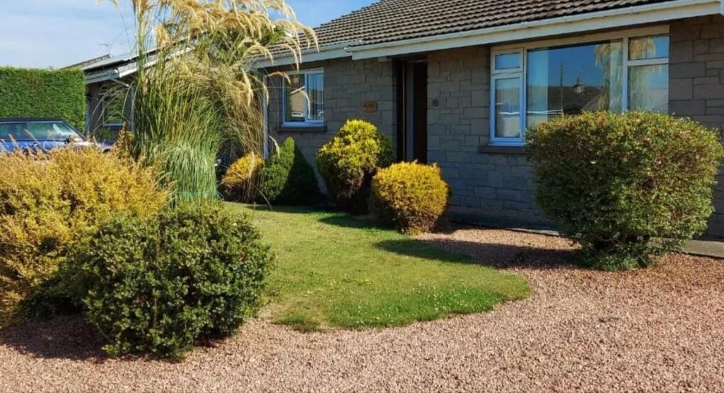 Ivy Cottage, Montrose