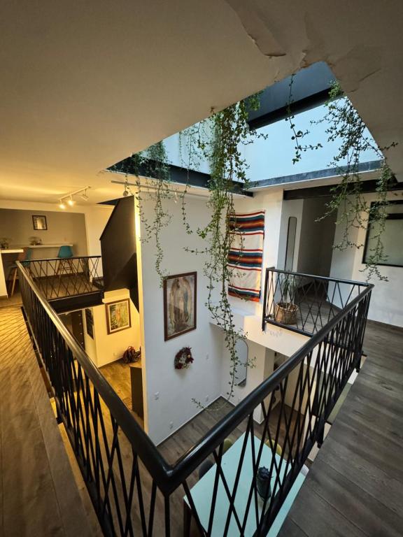 Calzolli Penthouse Casa de Huéspedes y Coliving - 1