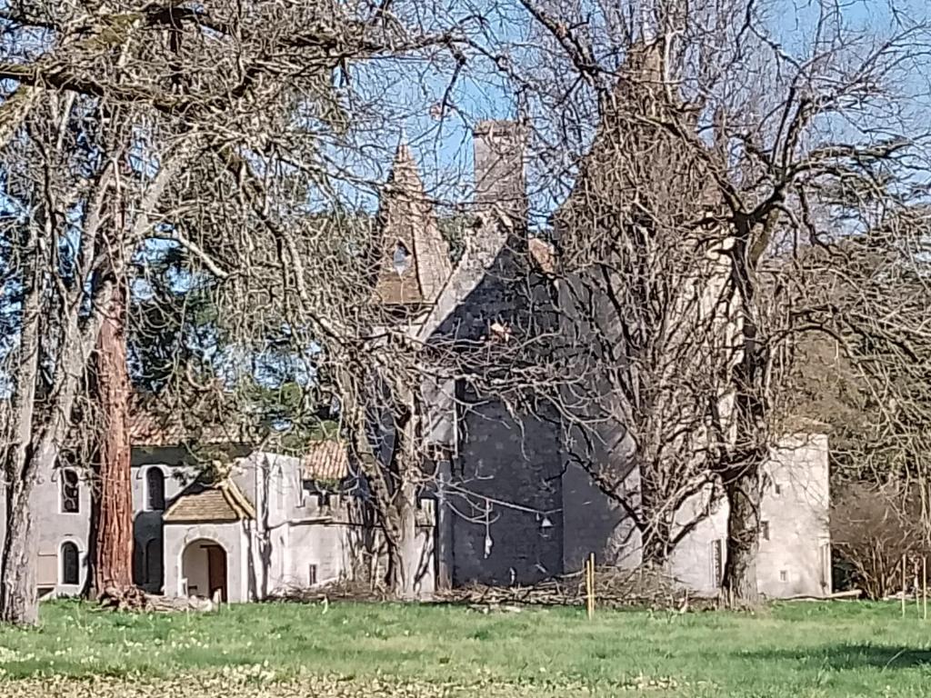 Apartment in a Renaissance castle, Layrac