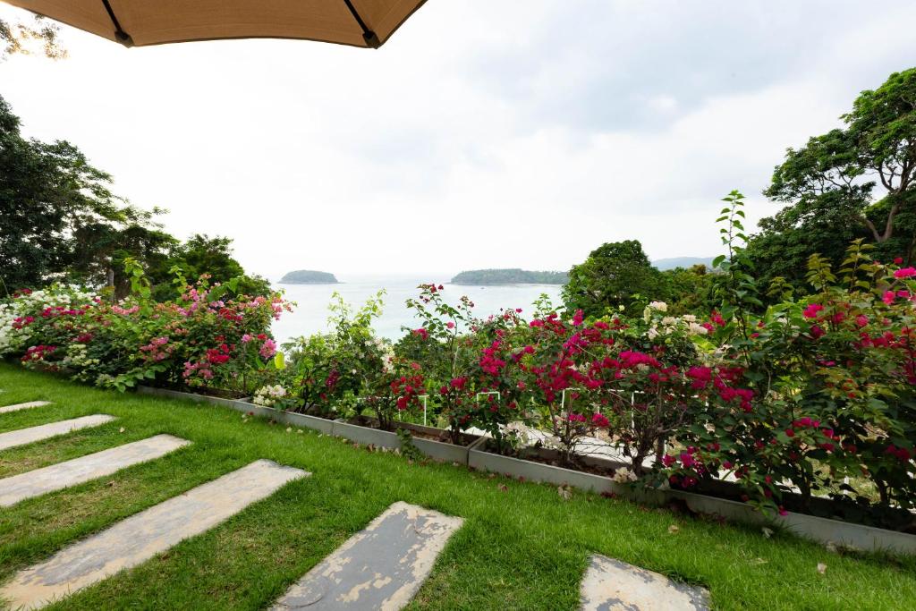 المنطقة المحيطة