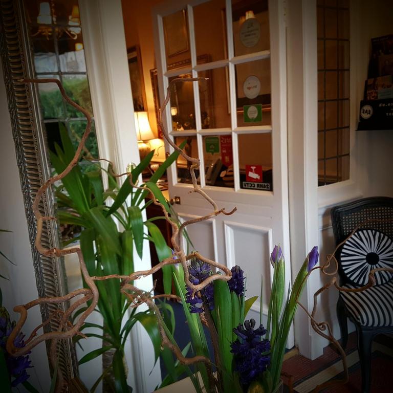 AmarAgua Guest house photo