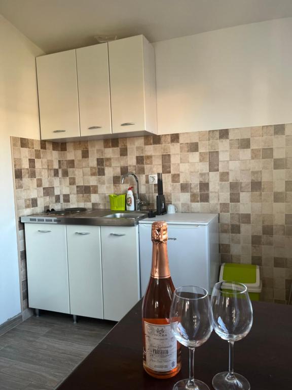 Apartmani Dasic - 3