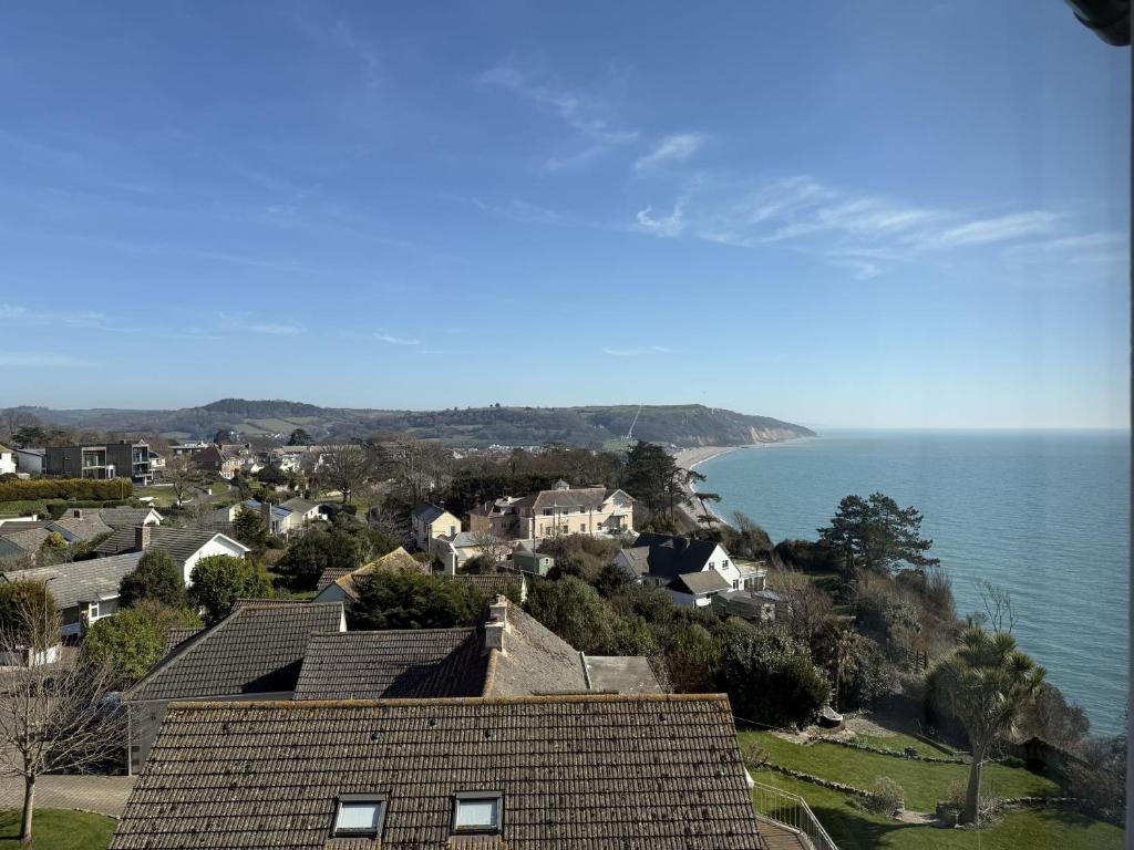 White Cliffs, Seaton