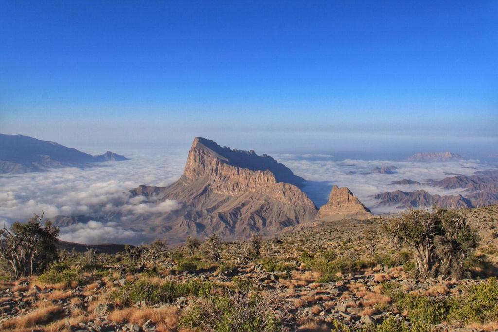 Surrounding environment