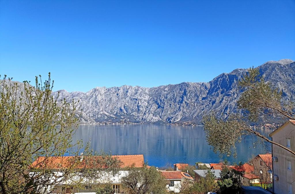 Vibrant BayView Apartment Kotor, Kotor