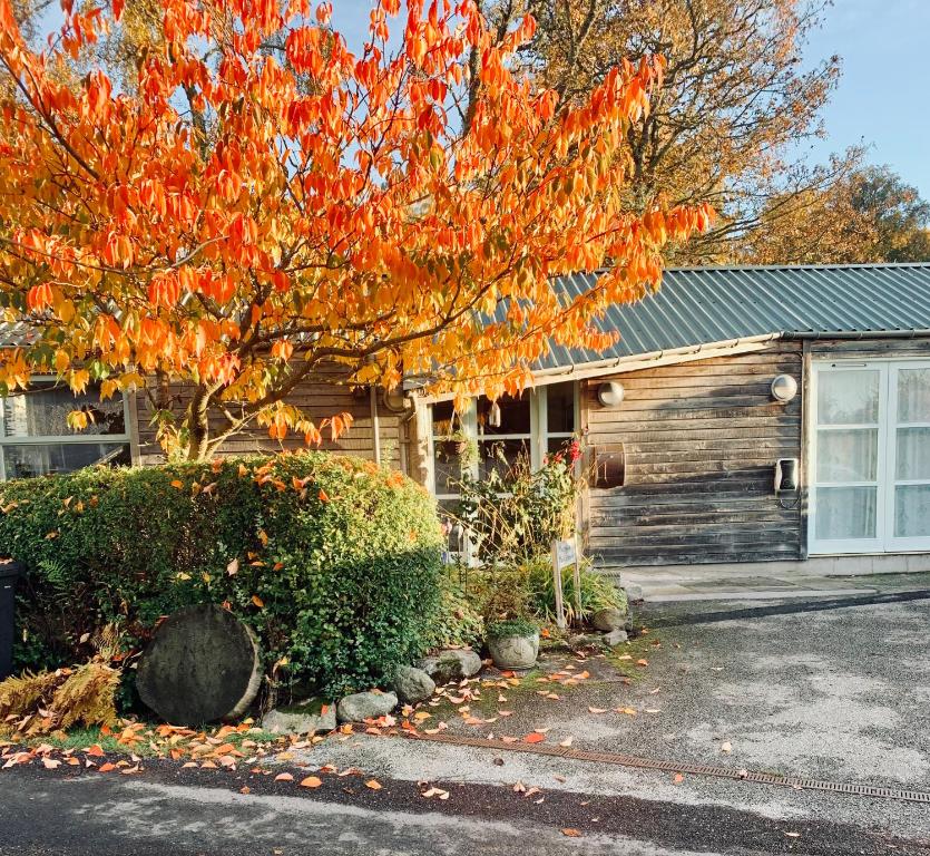 The Space at the Creamery - Royal Deeside, Torphins