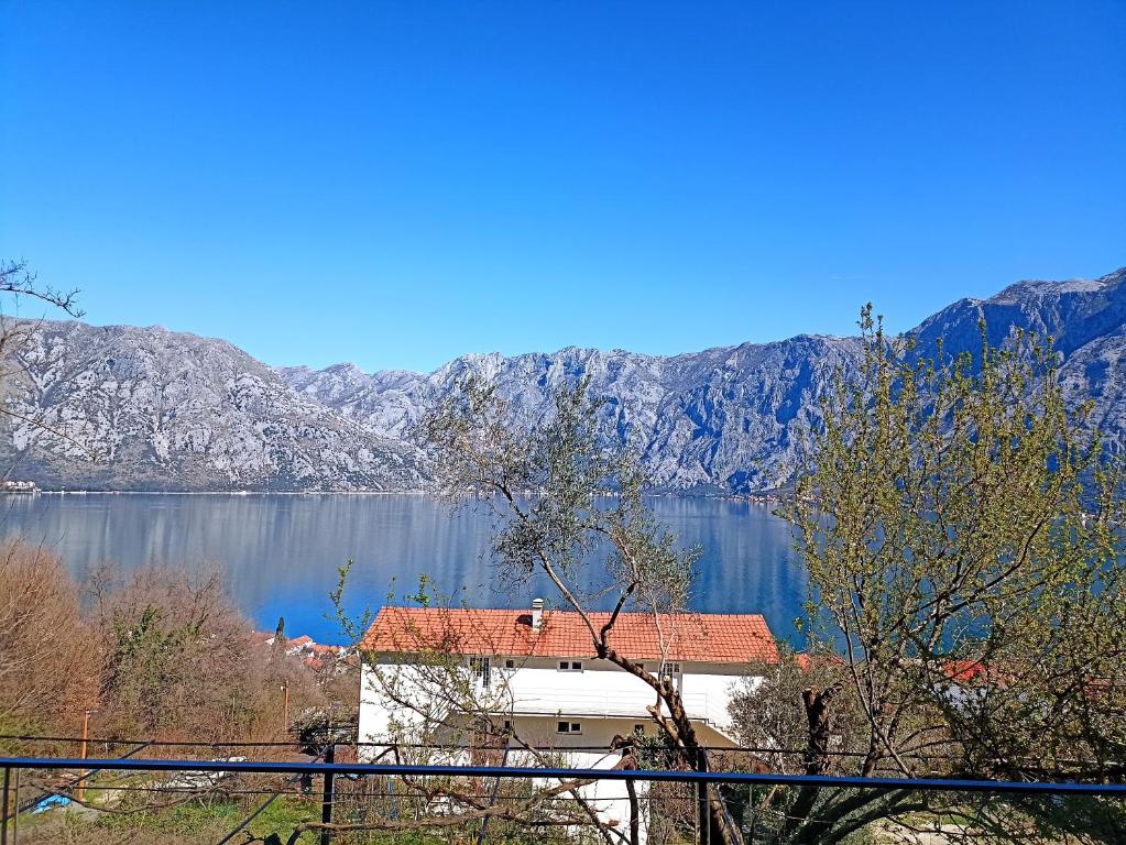 Epic BayView Apartment Kotor, Kotor