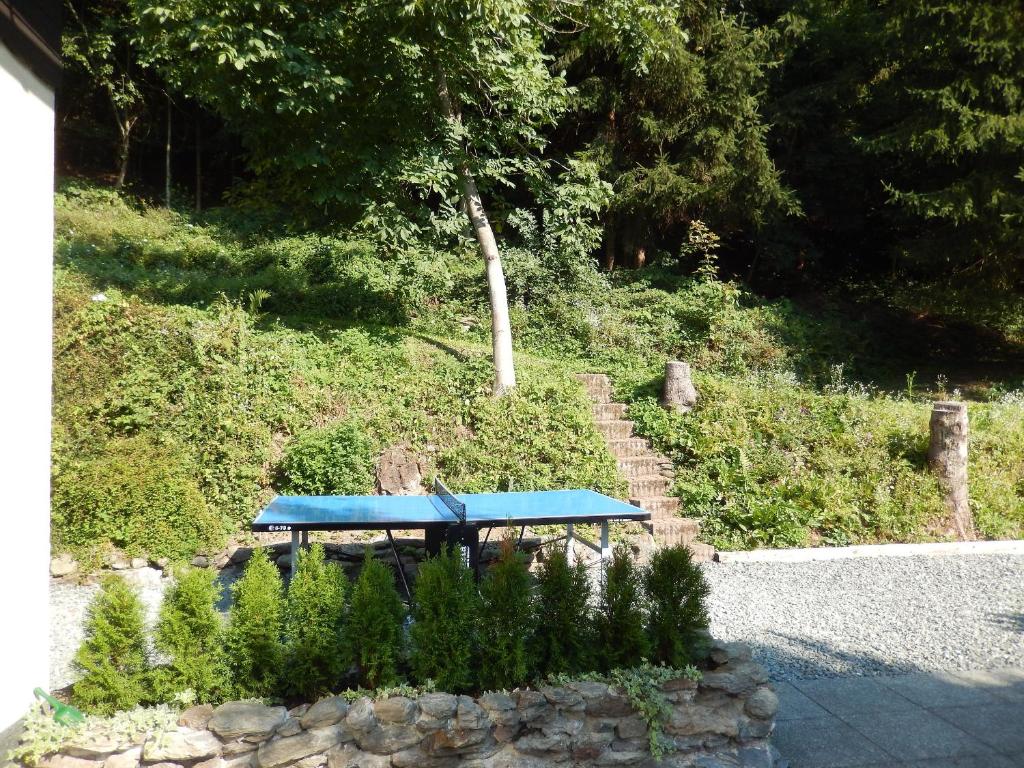 Haus am Wald - 2