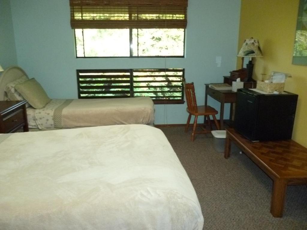 A Beautiful Edge of the World Bed & Breakfast photo