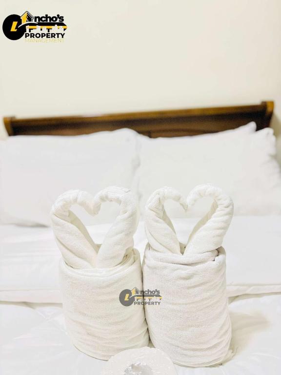 horizons 101, Cebu City