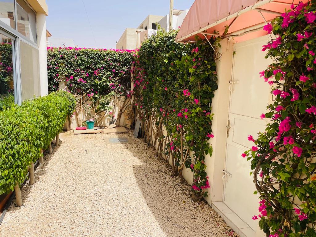 Appart F2 en résidence avec PISCINE Parking, Ngaparou