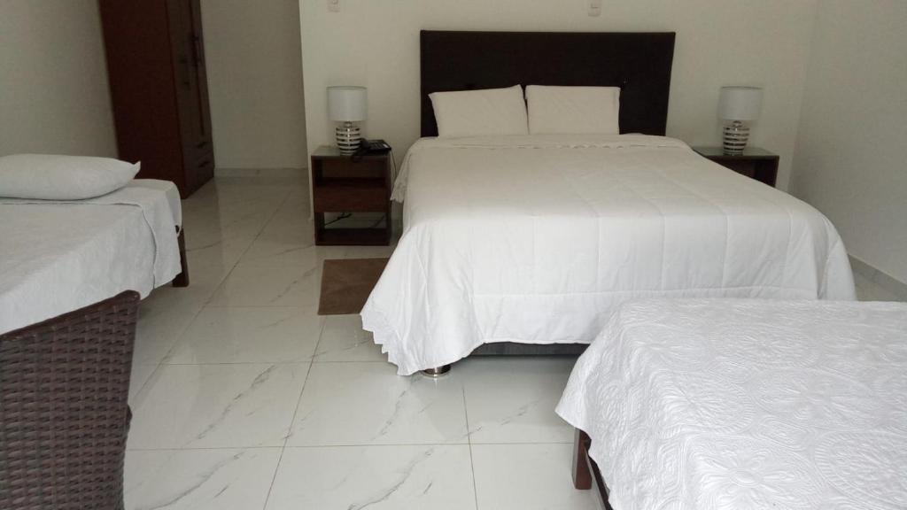 Hahn des Felsens - 5